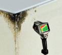 Studio Tecnico Google+:
Estate umida: le muffe aggrediscono le facciate
inserita il 24.10.2014